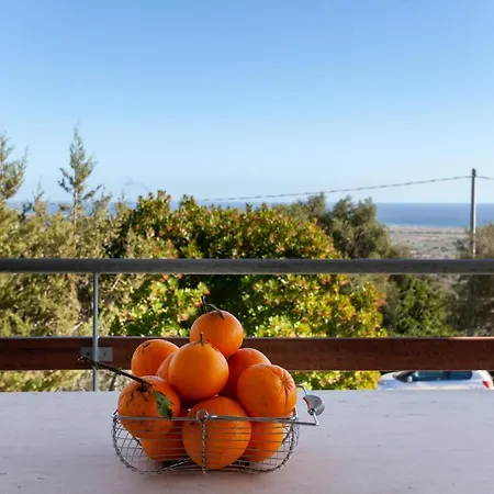 Hora Frisca * Orosei