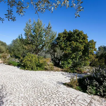 Hora Frisca * 오로세